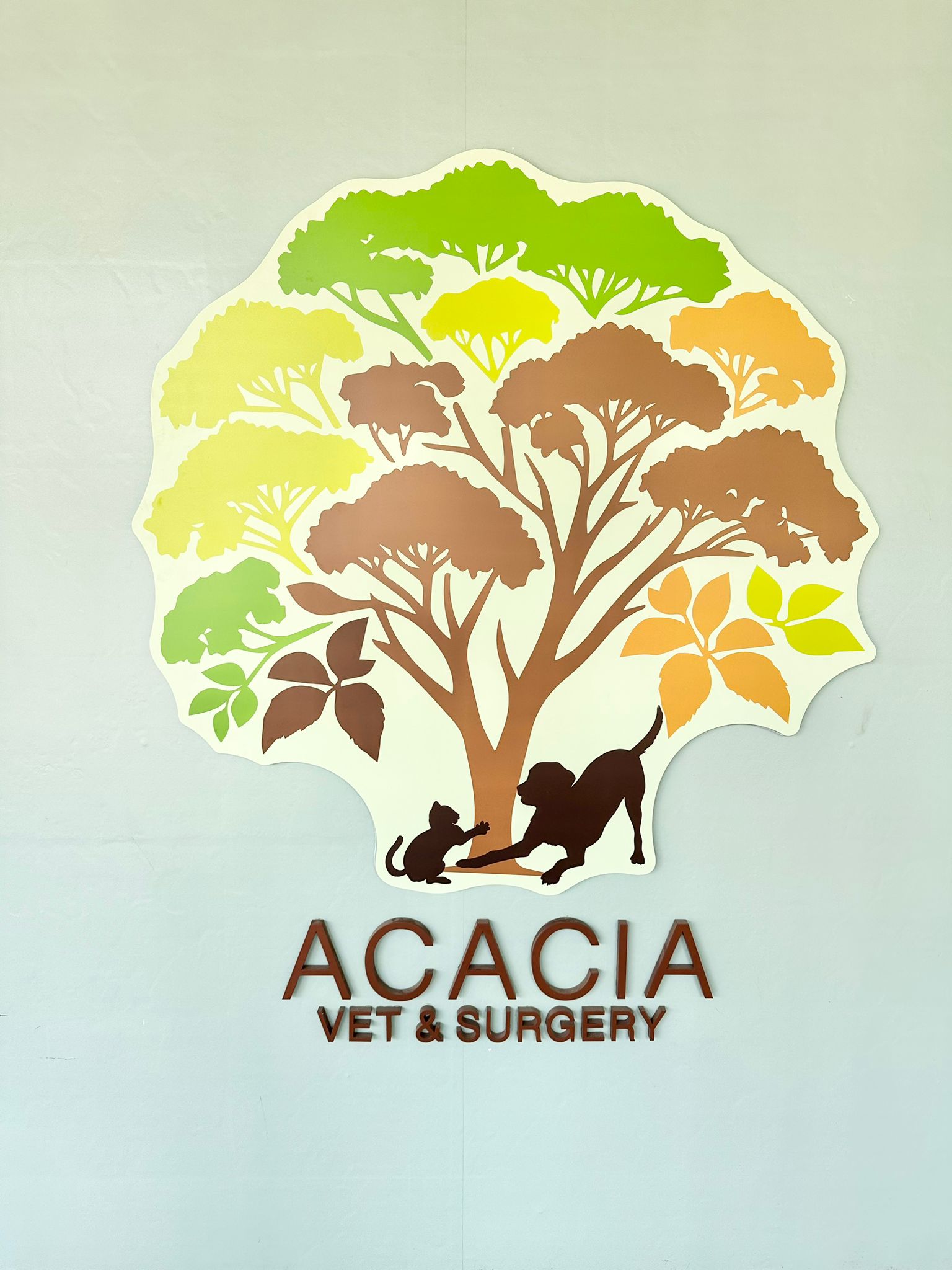 Acacia Vet & Surgery branded sign with tree logo